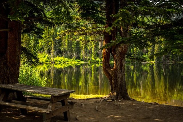bench