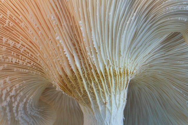 biological