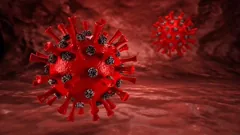 bloodstream