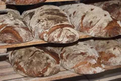 bread