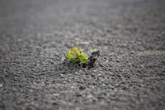 breakthrough