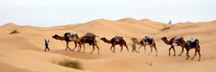 caravan
