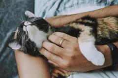 care