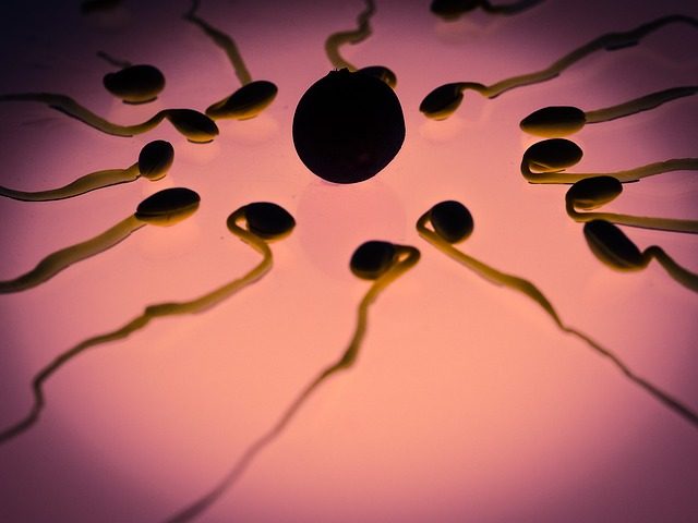 cell