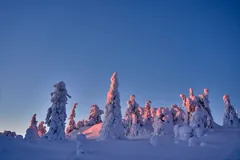 chilly