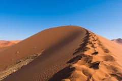 climate