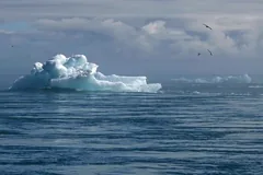 climate