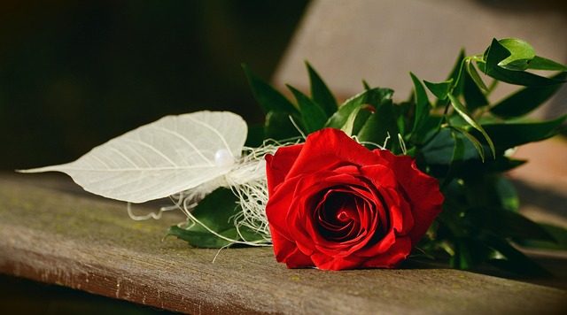 congratulation