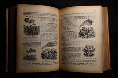 cookbook