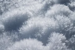 crystallize