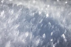 crystallize