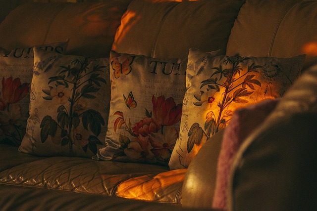cushion