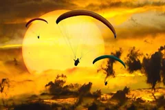 daring