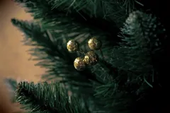 December
