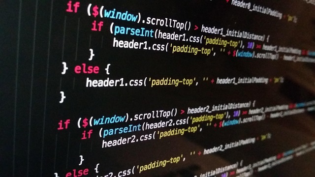 developer