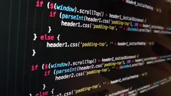developer