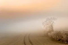 diffuse