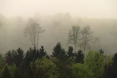 diffuse