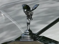 distinguished