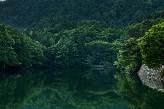 dock
