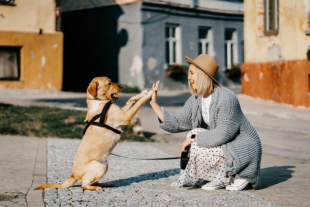dot