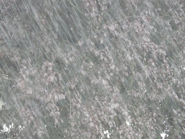 downpour