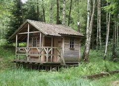 dwellings