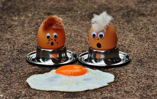 egg
