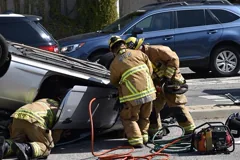 extricate