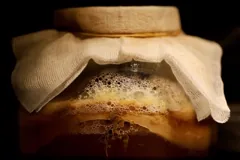 ferment