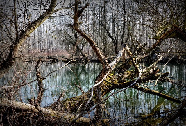floodplain