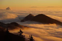 fog