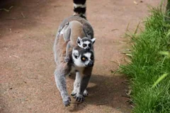 hers