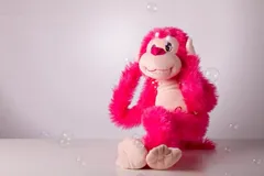 ignorance