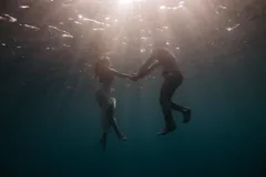immerse