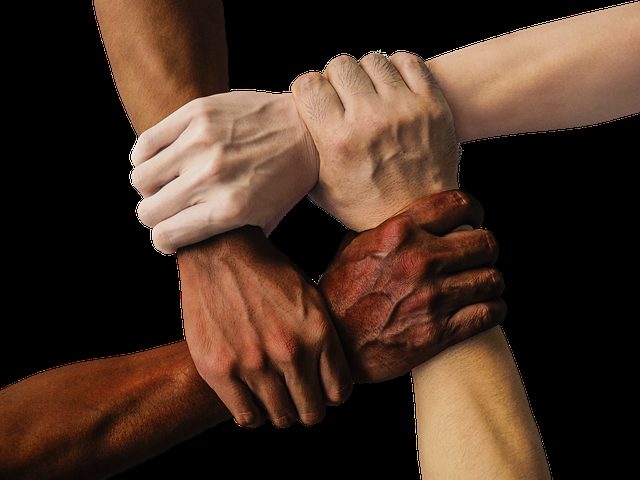 inclusion