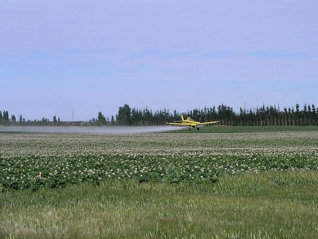 insecticide