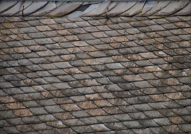 insulate