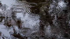 interference