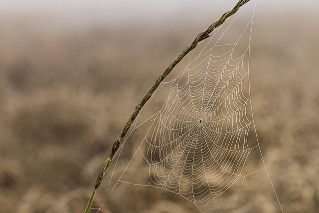intricate