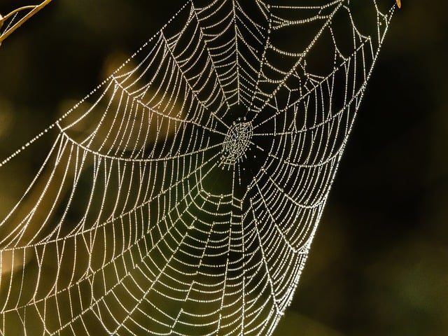 intricate