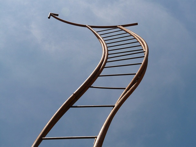 ladder