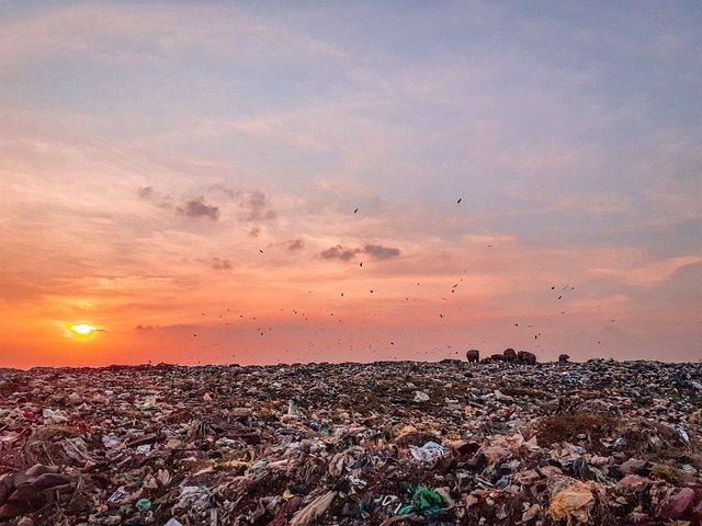 landfill