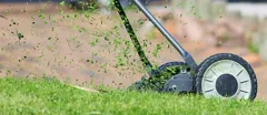 lawn