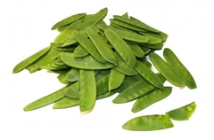 legume