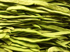 legume