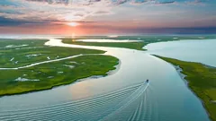 marsh