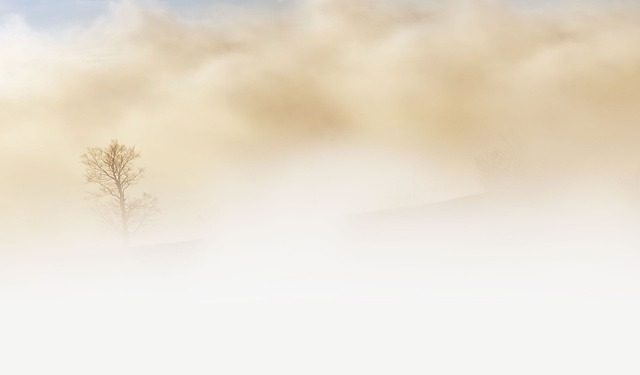 mist
