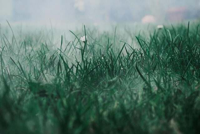 mist