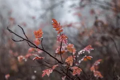 moist